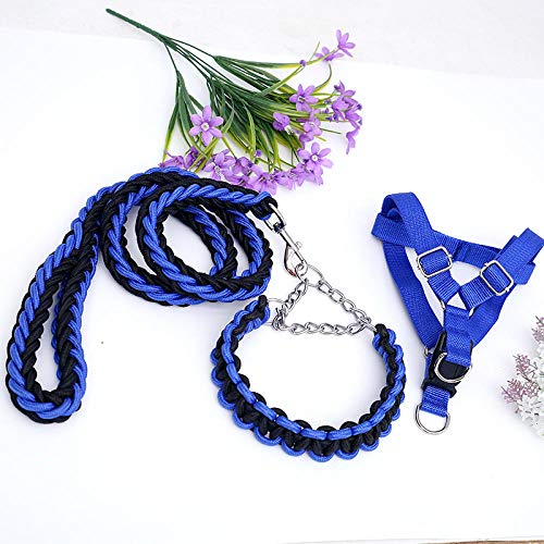 Hundeleine Große Hunde Kleine, Mittlere Und Große Hundehundekette Brustgeschirr Set Halsband Hundeleine-Schwarz Blau_L-Dreiteiliger Anzug von JXX