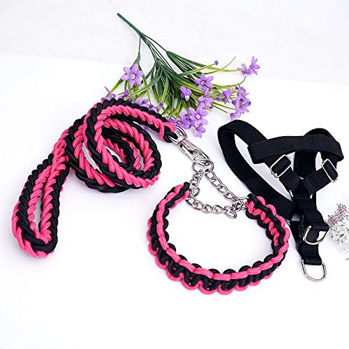 Hundeleine Große Hunde Kleine, Mittlere Und Große Hundehundekette Brustgeschirr Set Halsband Hundeleine-Schwarzpulver_L-Dreiteiliger Anzug von JXX