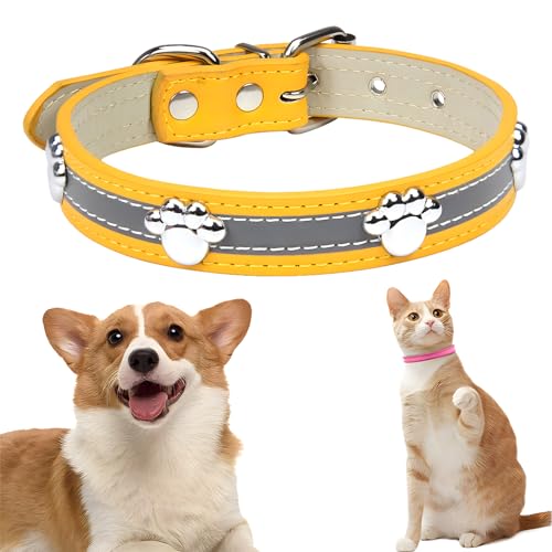 JYJLLM Beleuchten Sie die Nacht mit dem reflektierenden Hundehalsband – perfekt für kleine, mittelgroße und große Hunde, leuchtendes Hundehalsband, leuchtendes Hundehalsband (XL) von JYJLLM