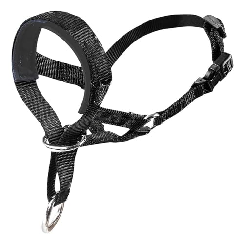 Hundehalfter mit gepolstertem Stoff, Kopfgeschirr für Hunde, Anti-Zieh-Halfterhalsband, verstellbar und leicht zu kontrollieren (M, Schwarz) von JYTDBCS