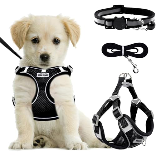 JYTDBCS Hundegeschirr Medium Breathable Vest, Step-in Cat Puppy Harness and Lead Sets, Adjustable Reflective Anti Pull Dog Harness with Collars for Extra-Small/Small Medium Dogs Training or Walking von JYTDBCS