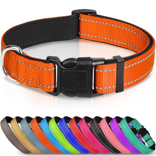 JYTDBCS Hundehalsband, Hund Zubehör, reflektierend, gepolstert, Neopren, Haustierhalsband, verstellbare Nylon-Halsbänder für mittelgroße Hunde, M, Orange von JYTDBCS