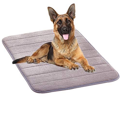 JZTRADE Hundedecke Hundedecken Waschbar Weiches Tierarztbett Hundekomfortbett Hundebett klein Haustier-Auflage Warme Hundedecke Welpenbett Hundekiste Mat Gray,l von JZTRADE