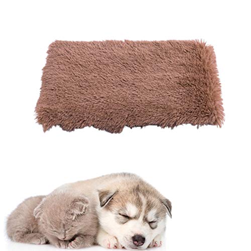 JZTRADE Hundedecken Katzendecke Flauschige Decke Welpenbett Dicke Waschbares Hundebett Hundekiste Bett Kätzchenbett Hundebett klein Haustierdecke Khaki,s von JZTRADE