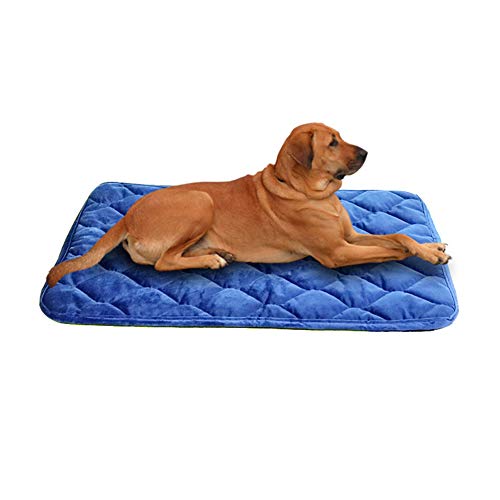 JZTRADE Kuscheldecke Hund Hundedecke Hundekiste Mat Haustier-Auflage Haustierbett Faltbares Haustierbett Welpen Matten Katzenbetten Hundebett klein Blue,m von JZTRADE