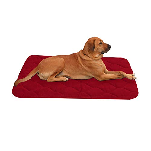 JZTRADE Kuscheldecke Hund Hundedecke Hundekiste Mat Haustier-Auflage Haustierbett Faltbares Haustierbett Welpen Matten Katzenbetten Hundebett klein red,m von JZTRADE