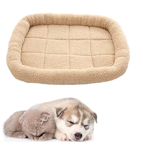 JZTRADE hundebett kleine Hunde hundebetten Flauschiges Katzenbett Hundekissen Hund Schlafsofa Haustierbetten Für Hunde Hundebett Hundebett klein Yellow,m von JZTRADE