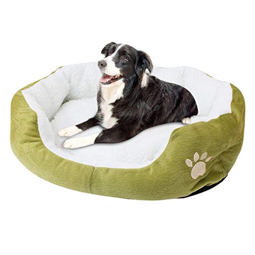 JZTRADE hundebett kleine Hunde hundebetten Haustierbetten Für Hunde Luxus Hundebett Warmes Hundebett Plüsch Hundebett Hundebett klein Flauschiges Hundebett Green,60 * 50cm von JZTRADE