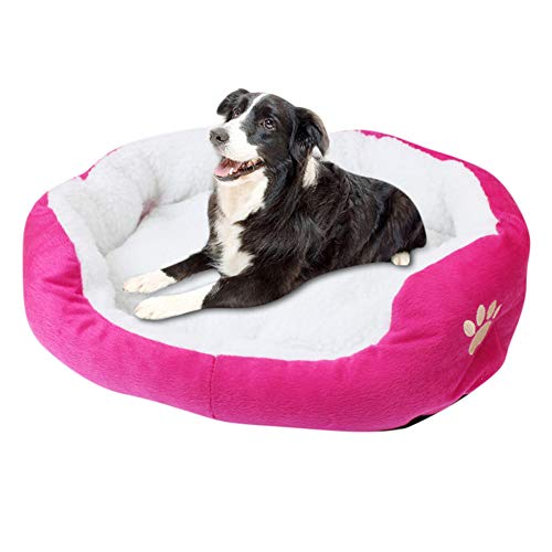 JZTRADE hundebett kleine Hunde hundebetten Haustierbetten Für Hunde Luxus Hundebett Warmes Hundebett Plüsch Hundebett Hundebett klein Flauschiges Hundebett Rose red,50 * 40cm von JZTRADE