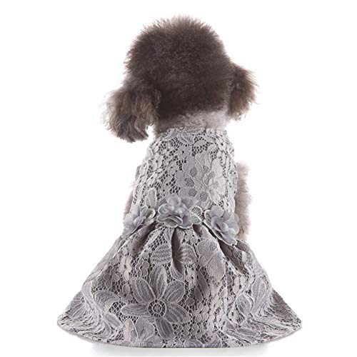 JZTRADE hundekleid Haustierkleid für kleine Hunde Bling Hundekleid Rock für kleinen Hund Hundekleid für den Sommer Prinzessin Hundekleid Hundekleidung 6,l von JZTRADE