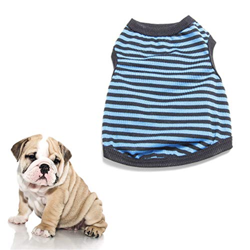 JZTRADE hundekleidung Sommer Hunde Mantel Sommer Welpenkleidung Niedliche Kleidung Hundemantel Hundekleidung für den Sommer Hundemäntel Kätzchen Kleidung Blue,xs von JZTRADE