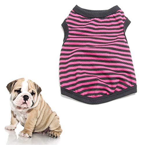 JZTRADE hundekleidung Sommer Hunde Mantel Sommer Welpenkleidung Niedliche Kleidung Hundemantel Hundekleidung für den Sommer Hundemäntel Kätzchen Kleidung pink,XL von JZTRADE