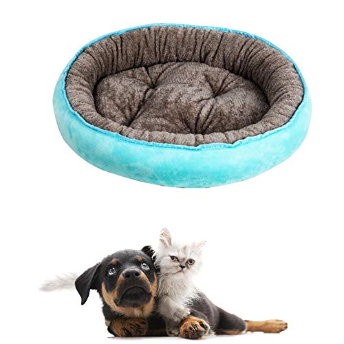 JZTRADE katzenbett hundebetten für mittlere Hunde Katzenhöhle Kleines Katzenbett Flauschiges Katzenbett Flauschiges Hundebett Hund Schlafsofa Blue,m von JZTRADE