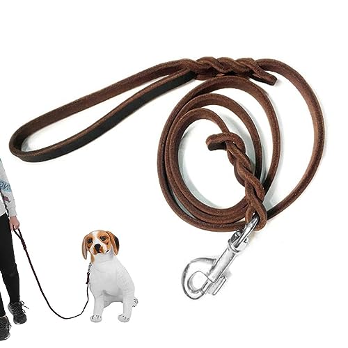 Leash Dog Leads Bungee Jump Dog Leads Slide Leads Leather Dog Leads Braided Leather Pet Leash Training Leads Leash Safety Lead for Small to Medium Sized Dogs (5 ft long) von JaSiTeBW