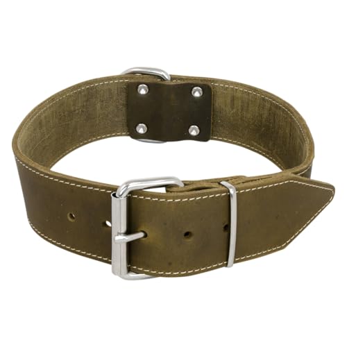 JACK AND VANILLA, Hundehalsband aus Fettleder, breit, bequem und langlebig, sichere Schnalle, verstellbar, Farbe Grün, 30 mm breit, 45 cm lang, Modell Leder von JACK AND VANILLA