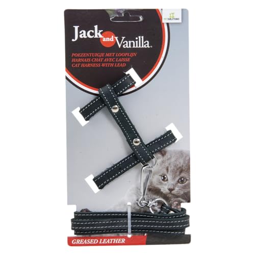 JACK AND VANILLA, Katzengeschirr aus Fettleder mit Leine, Bequeme Passform und Elegantes Design, ideal für Spaziergänge, Größe 10 mm, Farbe: Schwarz, Modell Leder von Jack and Vanilla