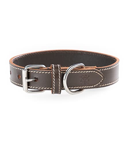 Hundehalsband aus Büffelleder – Robustes & Elegantes Lederhalsband aus Fettleder – Hunde Halsband Leder für kleine & große Hunde Hector braun (XS (29-36cm)) von Jack & Russell