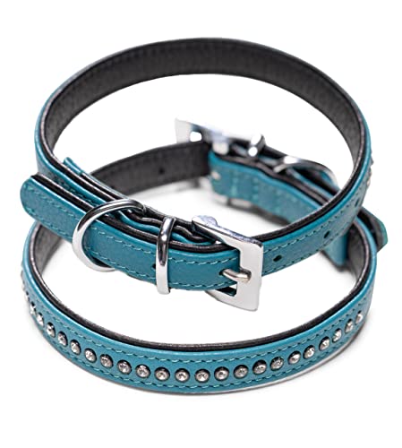 Hundehalsband aus Echt-Leder mit Strasssteinen/Kristall besetzt – funkelndes Hunde und Katzen Halsband aus gepolsterten und doppellagigen Büffelleder - Lederhalsband Audrey (M (24.5-32.5cm), Türkis) von Jack & Russell