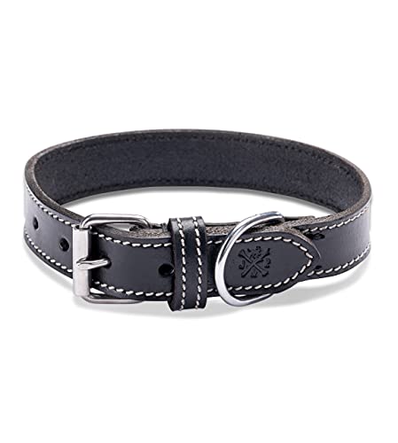 Hundehalsband aus Leder – sehr Robustes & Elegantes Lederhalsband aus Echt-Leder – Hunde Halsband für kleine & große Hunde Hector (S (34-41cm)) von Jack & Russell