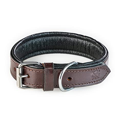 Hundehalsband aus Leder – sehr Robustes & Elegantes & Doppellagiges Lederhalsband aus Echt-Leder – Hunde Halsband Eduard (S (25-34cm)) von Jack & Russell