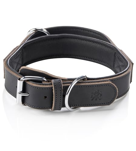 Jack & Russell Hunde Halsband Leder mit Haltegriff – taktisches Trainingshalsband mit Griff, breites Lederhalsband für große Hunde, Pino (M/L (42,5-51,0) von Jack & Russell