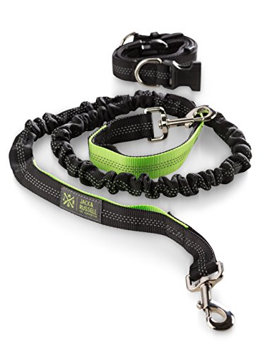 Jack & Russell Hunde Joggingleine mit Hüftgurt - schwarz-neongrün Hunde Leine elastisch 1,5 m - 2,0 m (Schwarz/Neongrün) von Jack & Russell