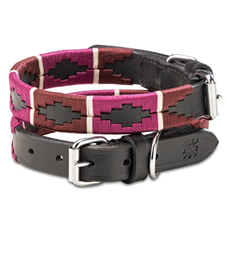 Jack & Russell Polo Hundehalsband aus Leder | Premium handgefertigtes Lederhalsband für kleine & große Hunde - Halsband Pablo (S (27,5-34,0cm)) von Jack & Russell