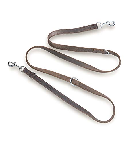 Jack & Russell Premium Fettleder Hundeleine Travis 2,0m - Hunde Lederleine extrem Stabil mit Edelstahl-Karabiner - Echtleder Leine mehrfach verstellbar – Travis (Dunkelbraun) von Jack & Russell