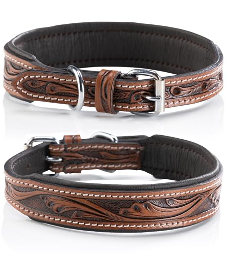 Jack & Russell Unikat Hundehalsband aus Leder, Hand-geschnitzt & gepolstert– Halsband aus Büffelleder, Hunde Lederhalsband dunkel-braun Talia (M (31,5-40,0cm)) von Jack & Russell