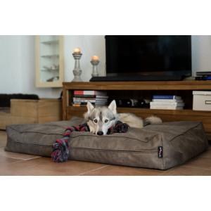 Jack & Vanilla Classy Hundebett Stone L - 100 x 70 x 14 cm von Jack & Vanilla