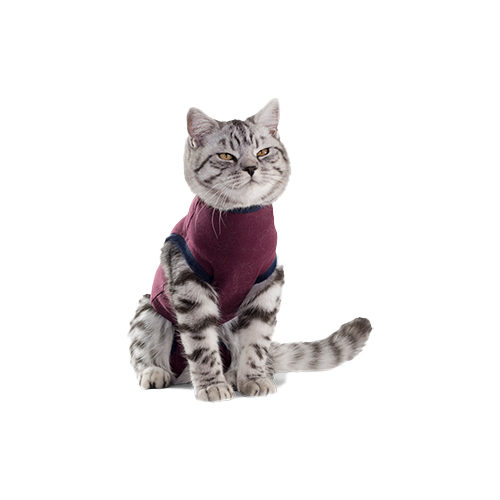 Jacketz Medical Body Suit - Katze - XXS von Jacketz