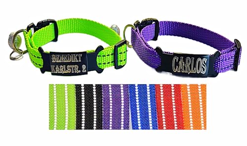 2X personalisiertes Katzenhalsband personalisiert mit Name graviert Katze Halsband reflektierend Leuchtend aus Nylon mit Glöckchen (Lila und Neon Gelb) von Jacks O Be