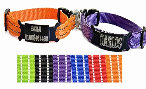 2X personalisiertes Katzenhalsband personalisiert mit Name graviert Katze Halsband reflektierend Leuchtend aus Nylon mit Glöckchen (Lila und Orange) von Jacks O Be