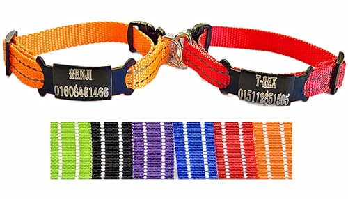 2X personalisiertes Katzenhalsband personalisiert mit Name graviert Katze Halsband reflektierend Leuchtend aus Nylon mit Glöckchen (Rot Und Orange) von Jacks O Be