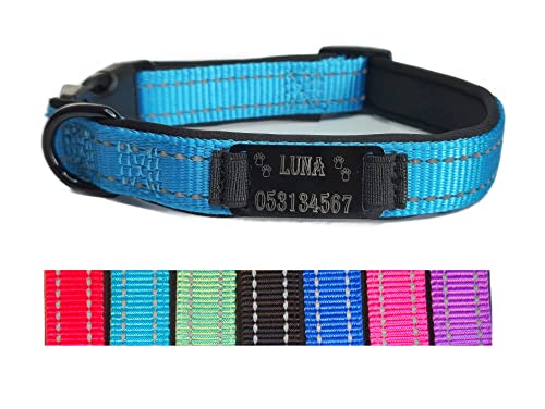 Hundehalsband Halsband Name Gravur personalisiert Haustier Hund Katze Nylon besonders stabil (L, Hell Blau) von Jacks O Be