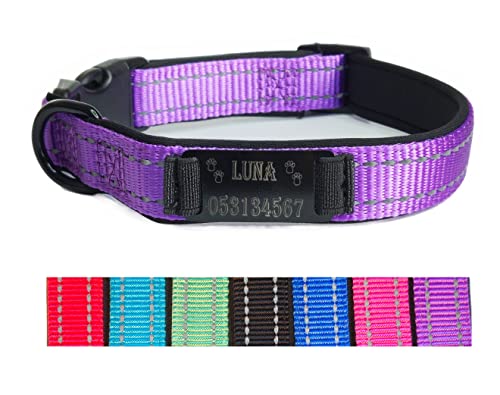 Hundehalsband Halsband Name Gravur personalisiert Haustier Hund Katze Nylon besonders stabil (L, Lila) von Jacks O Be