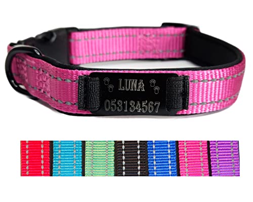 Hundehalsband Halsband Name Gravur personalisiert Haustier Hund Katze Nylon besonders stabil (L, Pink) von Jacks O Be