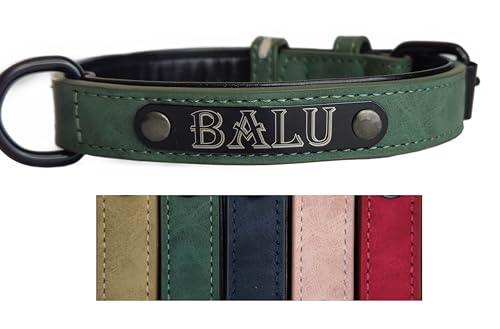 Jacks O Be Hundehalsband Halsband Name Gravur personalisiert Haustier Hund Katze Leder (Grün, L) von Jacks O Be