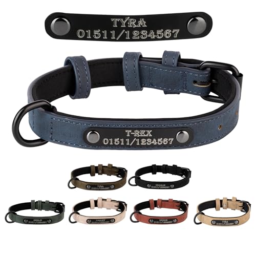 Jacks O Be Hundehalsband Halsband Name Gravur personalisiert Haustier Hund Katze Leder (Blau, M) von Jacks O Be