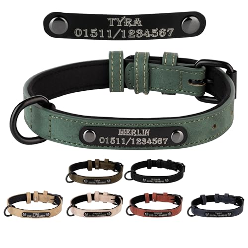 Jacks O Be Hundehalsband Halsband Name Gravur personalisiert Haustier Hund Katze Leder (Grün, M) von Jacks O Be