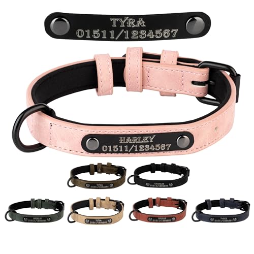 Jacks O Be Hundehalsband Halsband Name Gravur personalisiert Haustier Hund Katze Leder (Rosa, XL) von Jacks O Be