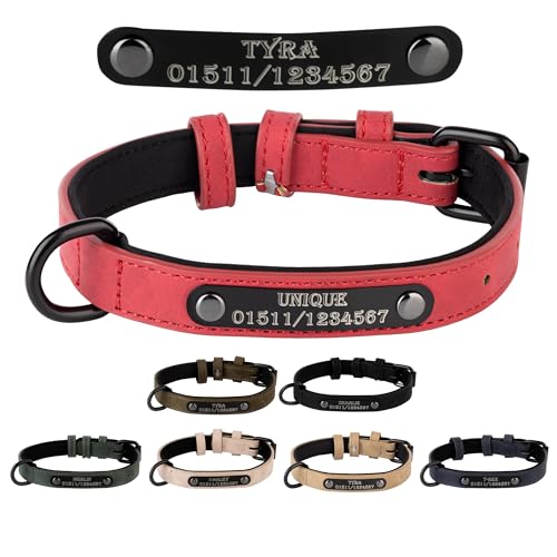 Jacks O Be Hundehalsband Halsband Name Gravur personalisiert Haustier Hund Katze Leder (Rot ohne Name, XXL) von Jacks O Be