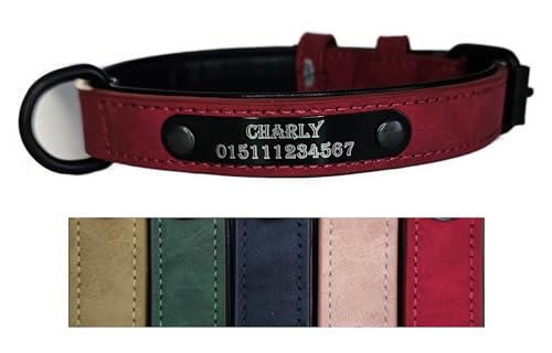 Jacks O Be Hundehalsband Halsband Name Gravur personalisiert Haustier Hund Katze Leder (S, Rot) von Jacks O Be