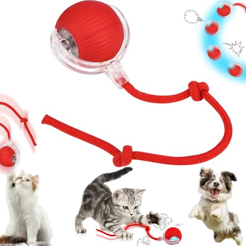 Katzenball Elektrisch, Interaktives Katzenball Spielzeug, Chewie Rolling Ball, Interaktives Hunde Ball Spielzeug Mit Usb Aufladbar, Drei Arbeitsmodi, 360° Rolling Smart Ball FüR Katzen Und Hunde von Jadyon