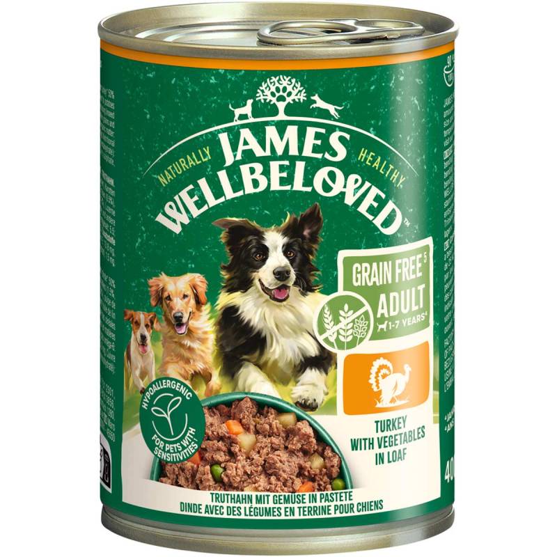 JAMES WELLBELOVED Adult Truthahn Pastete 6x400 g von James Wellbeloved