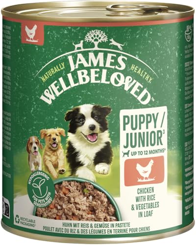 JAMES WELLBELOVED 6 x 800g Hund Junior Dose Nassfutter Huhn in Pastete JAMES WELLBELOVED 6 x 800g Hund Junior Dose Nassfutter Huhn in Pastete von James Wellbeloved