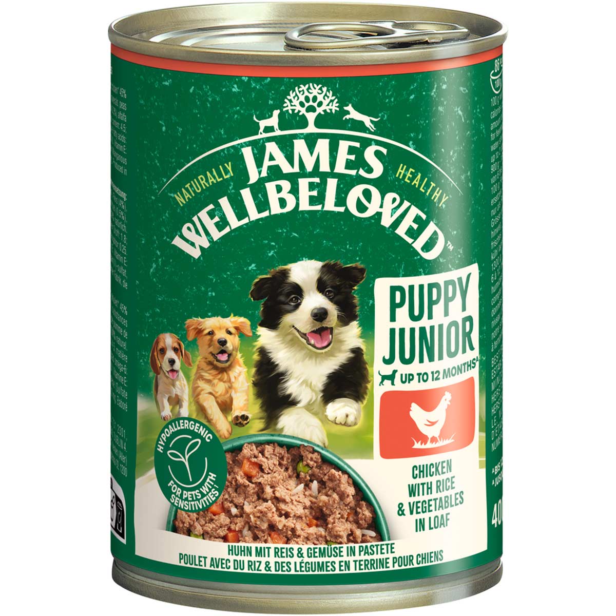 JAMES WELLBELOVED Junior Huhn Pastete 6x400 g von James Wellbeloved