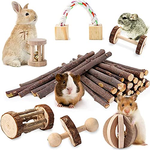 JanYoo Hamster Spielzeug, 7-teiliges Meerschweinchen Spielzeug aus Holz Apfelhölzer Lamellenball Set Hanteln für Kanichen Maus Chinchillas Kleintier von JanYoo