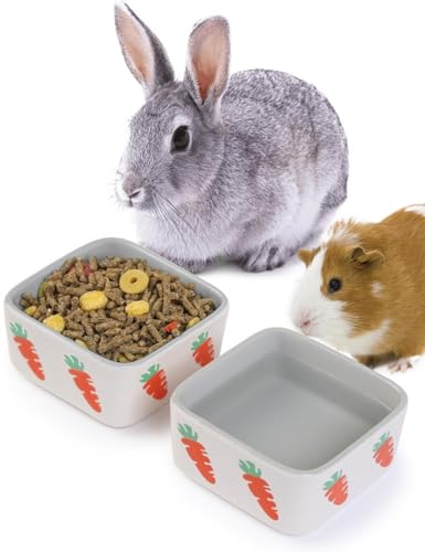JanYoo Rabbit Accessories Chinchilla Futternapf und Wassernäpfe, Keramik-Set für Kaninchen, Käfig, Grau, 2 Stück von JanYoo