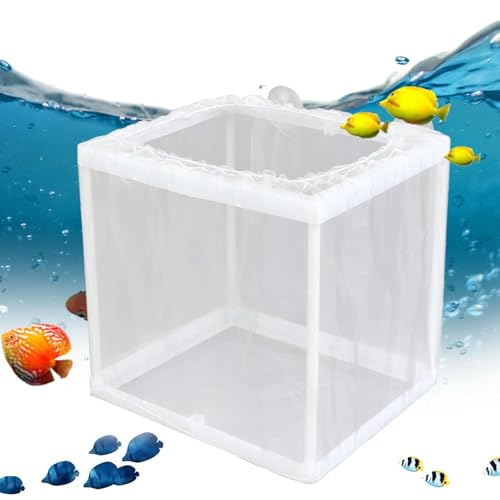 Fischzuchtbox – leichte -Aquarium-Brut-Netzbox | Jungfisch-Trennnetz, langlebige Tank-Inkubatorbox, Fischbrutanlage mit Saugnäpfen von Janurium